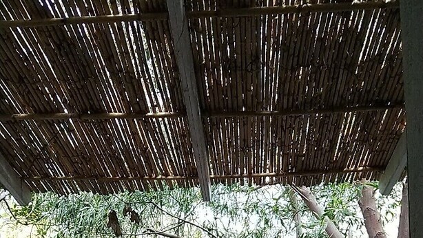 Två vita plaststolar står under en pergola av bambu, med en häck och ett trästaket i bakgrunden.