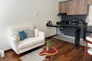 Living area - Modern and cozy studio apartment in La Paz (La Paz)