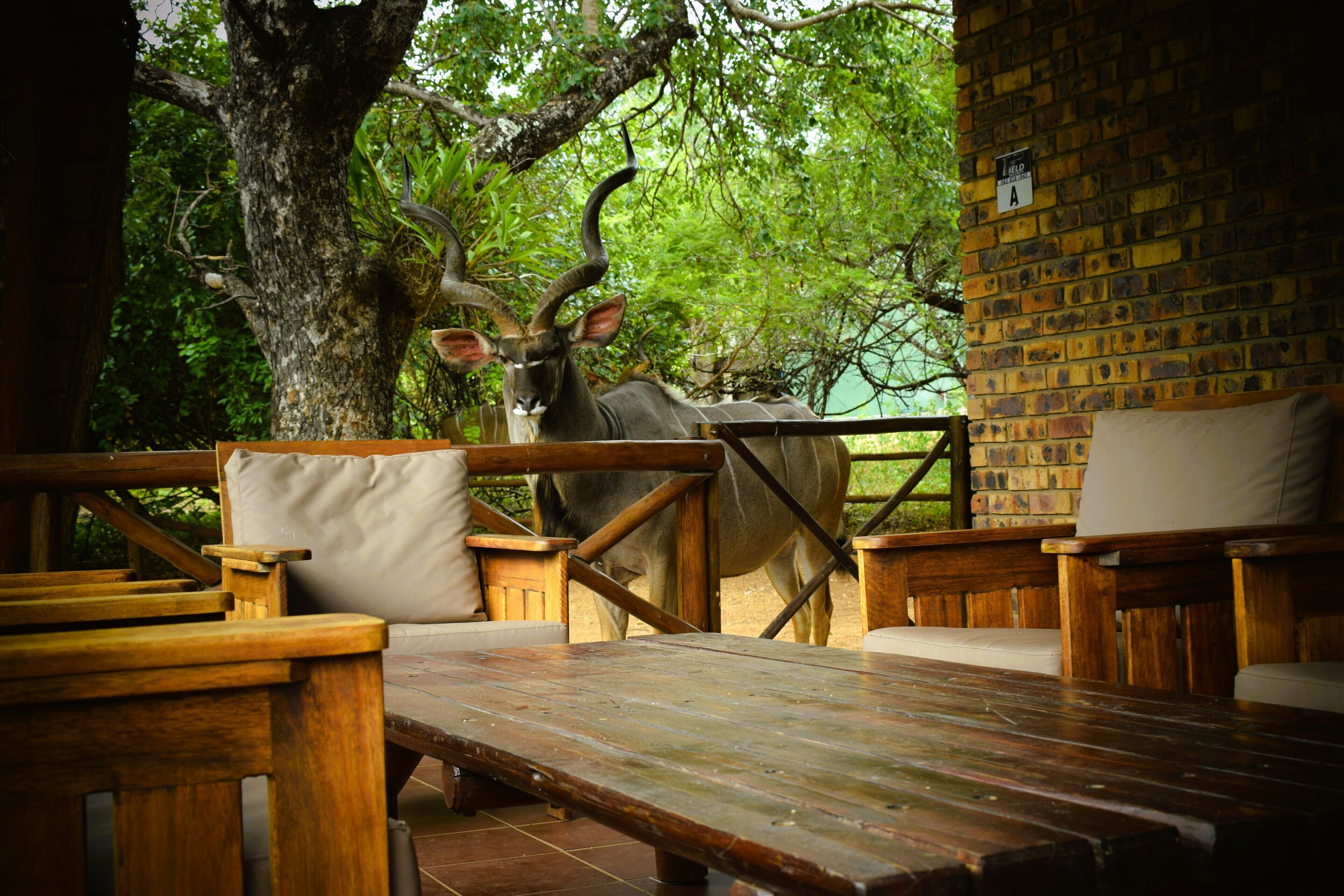 Terrass/Patio