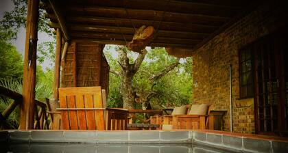 Private Luxury Safari Villa next to Kruger National Park. Roaming wildlife, WiFi