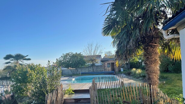 Um quintal com piscina, escadas de madeira e diversas plantas e árvores.