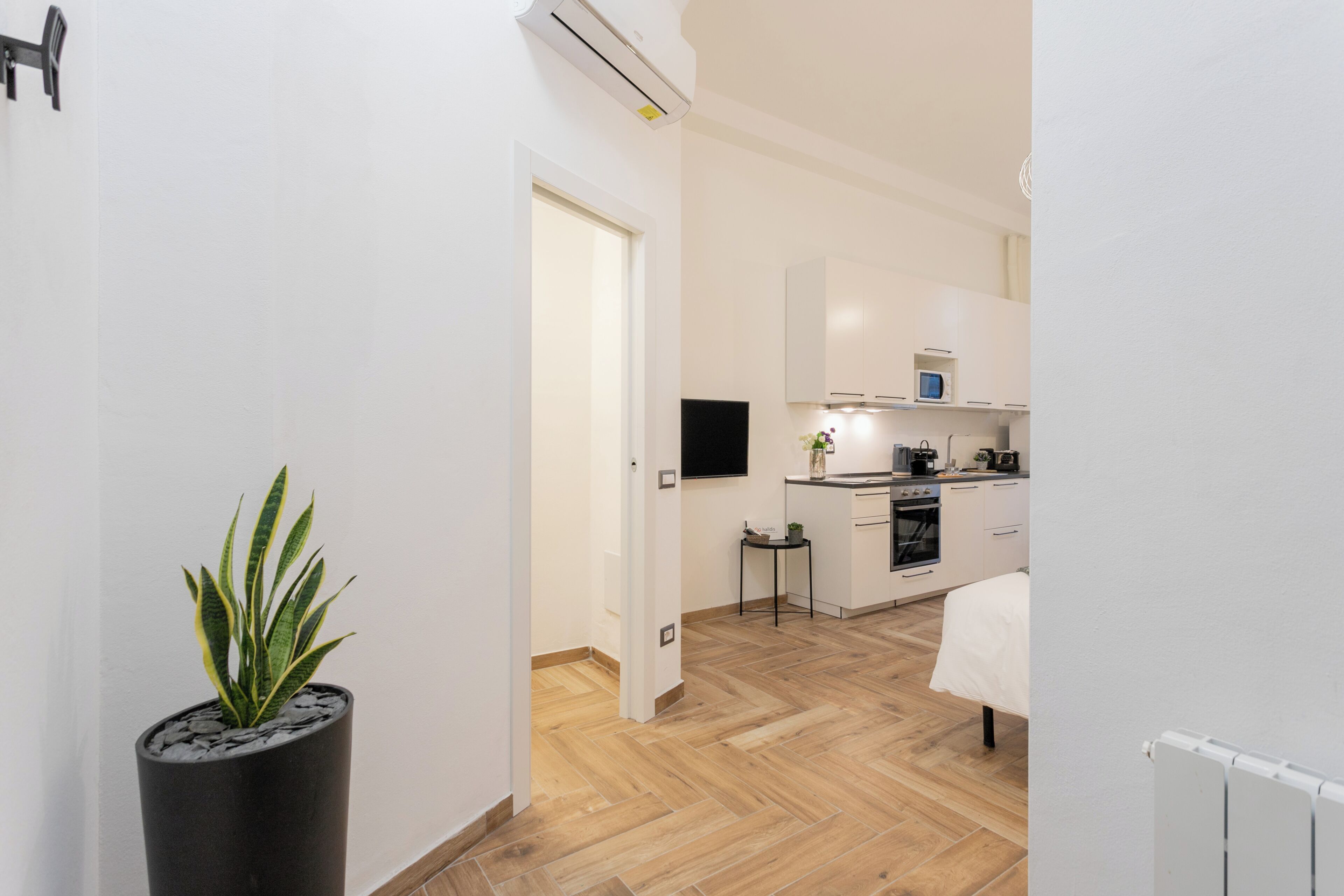A modern kitchen with white cabinets, a black countertop, and a small side table with a plant.