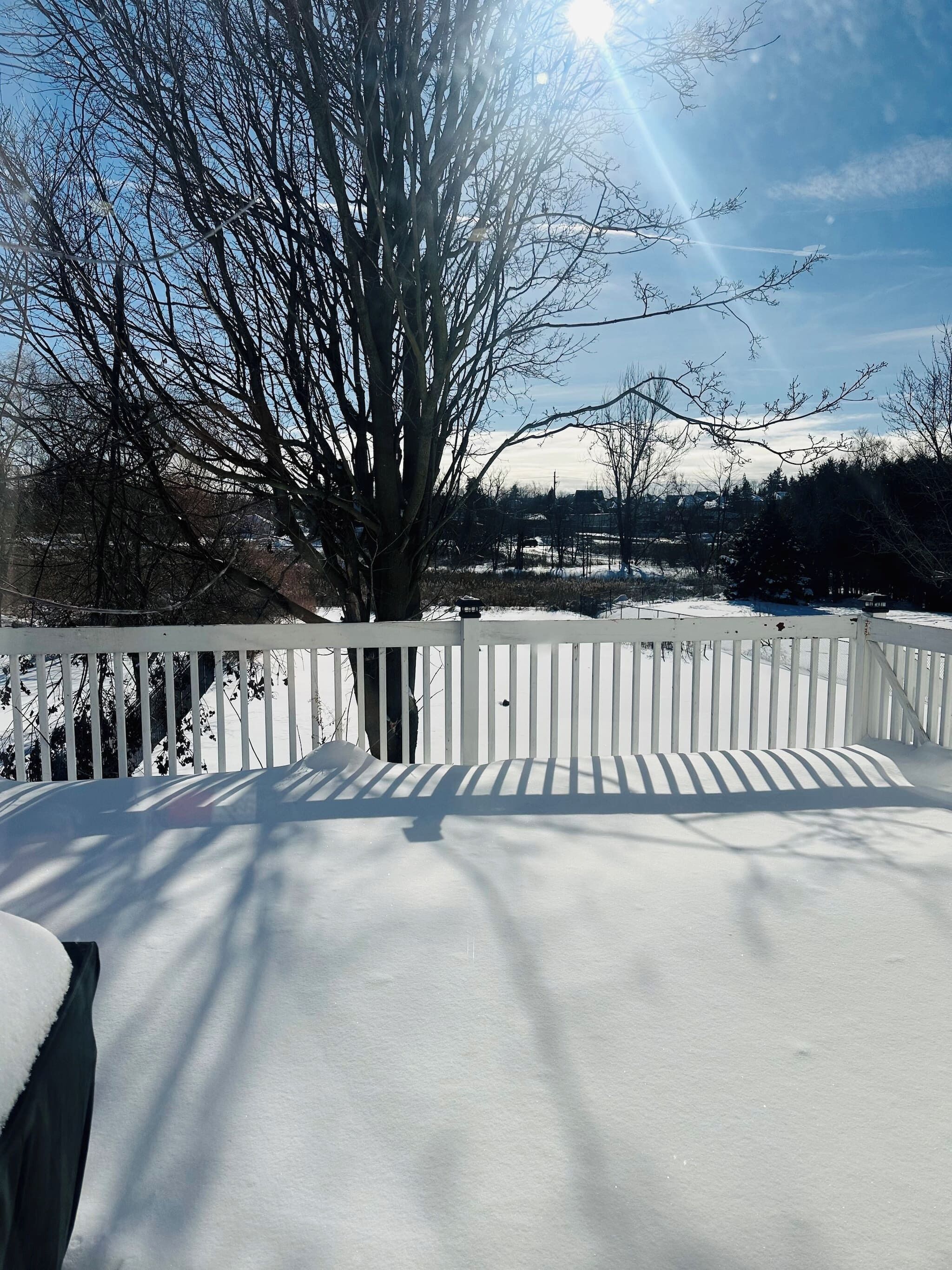 Une terrasse enneigée avec une balustrade blanche, un arbre en arrière-plan et un ciel dégagé.