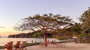 A beach with wooden chairs and a large tree. - Pacifico Rentals (Sardinal)
