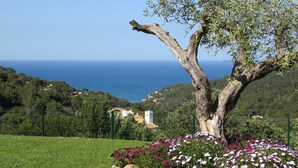 Ein Baum mit kurvenreichem Stamm, ein Blumenbeet mit rosa und weißen Blüten sowie ein Blick auf das Meer und die Hügel im Hintergrund.