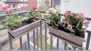Ein Balkon mit Topfpflanzen und Blick auf ein Gebäude im traditionellen Baustil.