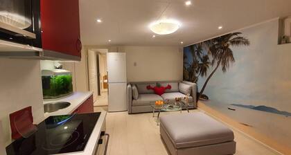Separate Apartment in Attractive Villa