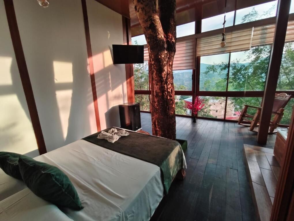 A bedroom with a large bed, a TV, and a view of the outdoors.