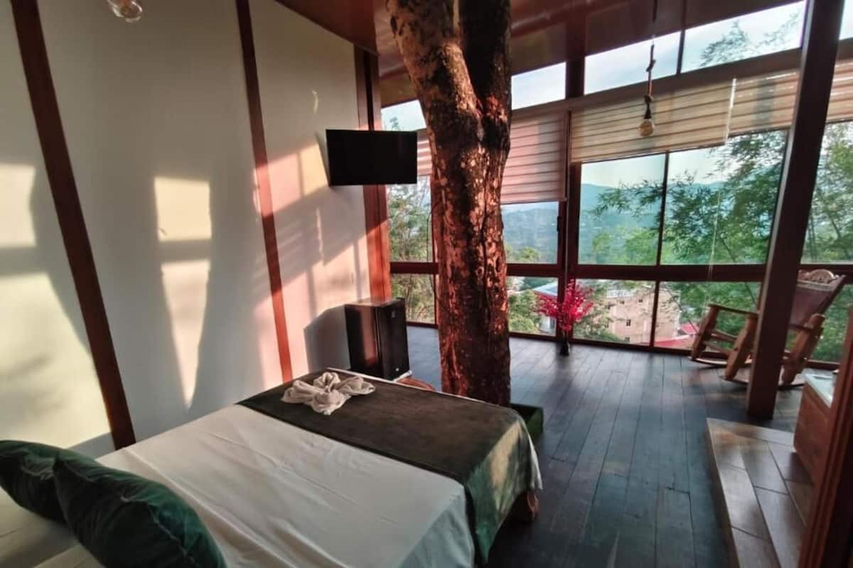 A bedroom with a large bed, a TV, and a view of the outdoors.