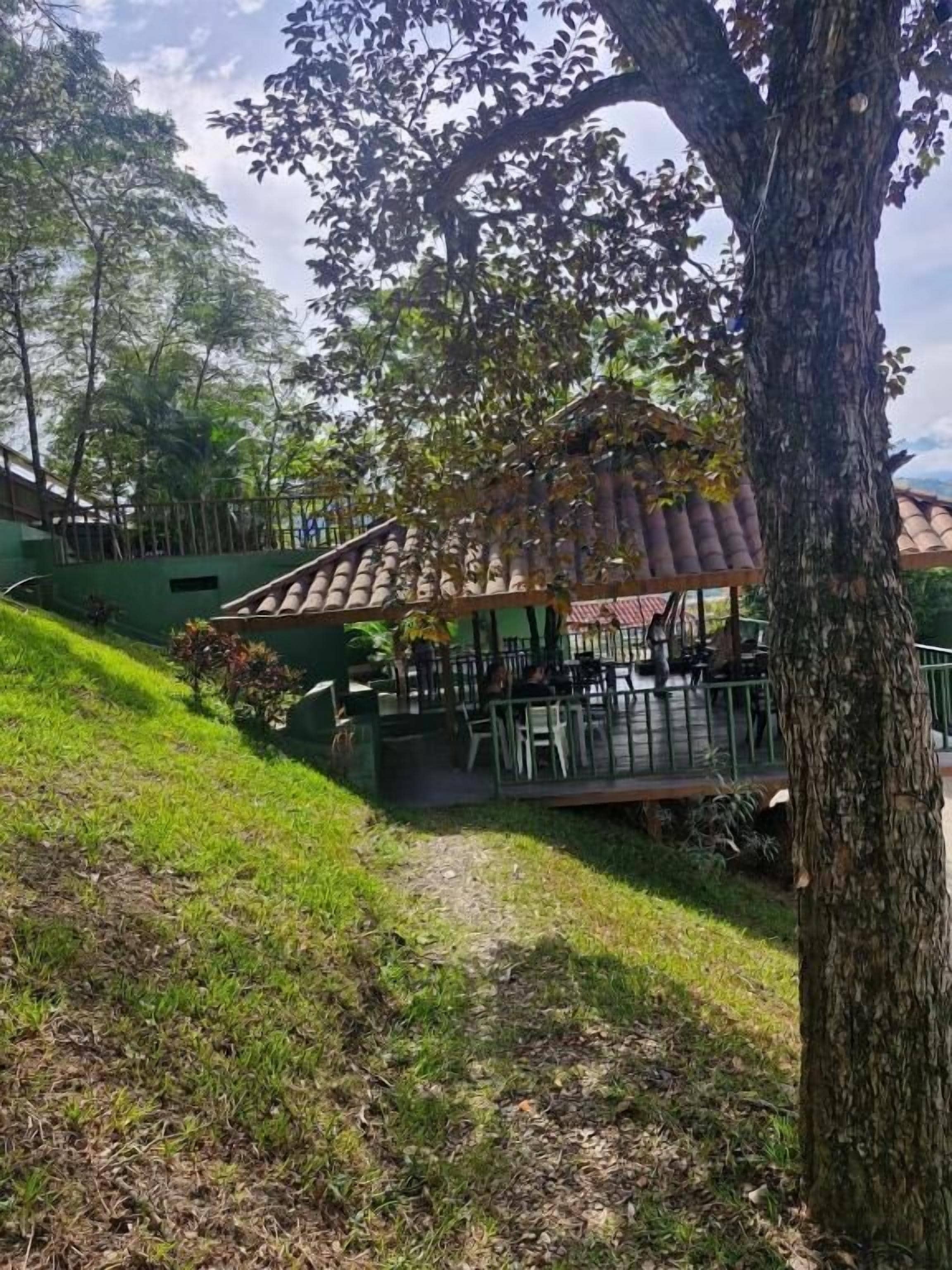 A covered outdoor seating area with tables and chairs, surrounded by greenery and trees.