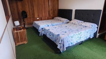 Hytte – comfort, balkong, hageutsikt