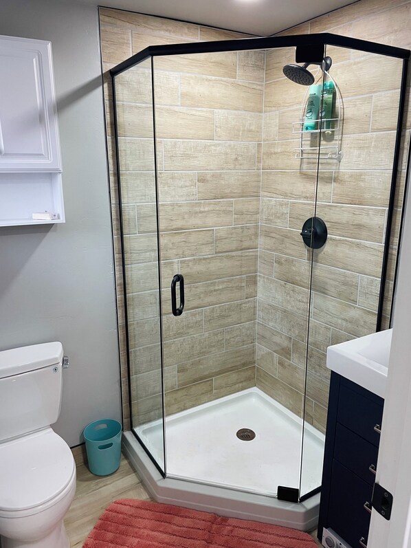 Shower, hair dryer, towels, soap