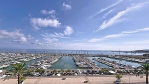 Un puerto deportivo con numerosas embarcaciones amarradas en aguas tranquilas, cielo despejado y un puente distante.
