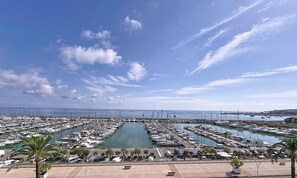 Un port de plaisance avec des bateaux amarrés, une route au premier plan et un pont au loin.