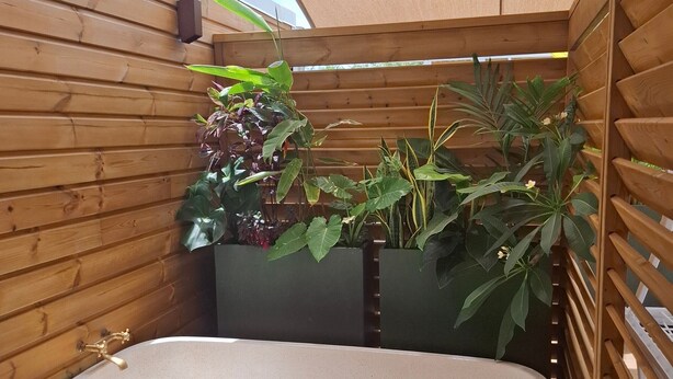A wooden cabin with a bathtub, surrounded by potted plants. - House with private pool - 4 guests (Saint-Joseph)