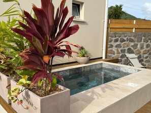 Property grounds - House with private pool - 4 guests (Saint-Joseph)