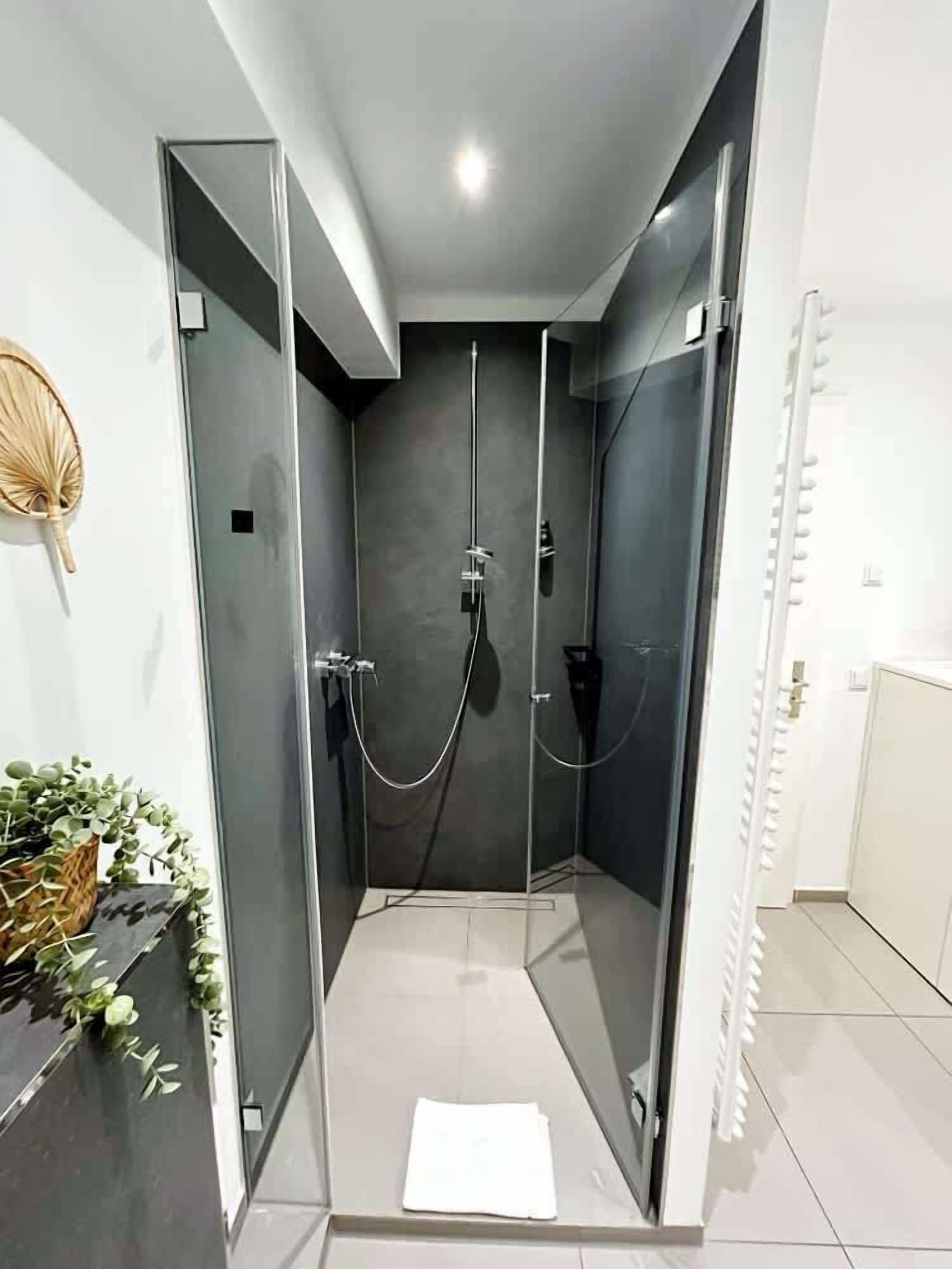 Shower, hair dryer, towels, shampoo