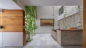Una cucina moderna con un piano di lavoro in legno, piante sospese e pavimento piastrellato.