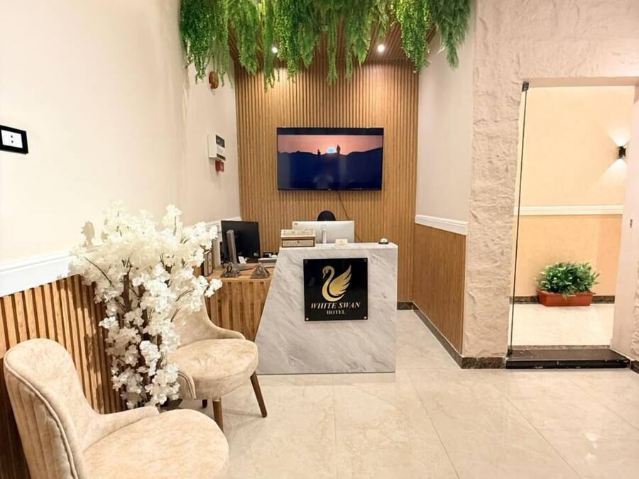 A reception area with a reception desk, two plush chairs, a television mounted on a wooden wall, and a potted plant.