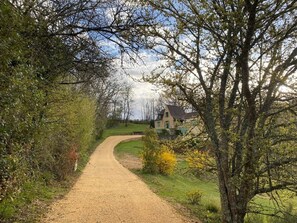 Ein Kiesweg führt zu einem Haus, das von Bäumen und Grün umgeben ist.