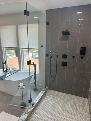 Regadera, tina de hidromasaje, secadora de cabello, bidet 