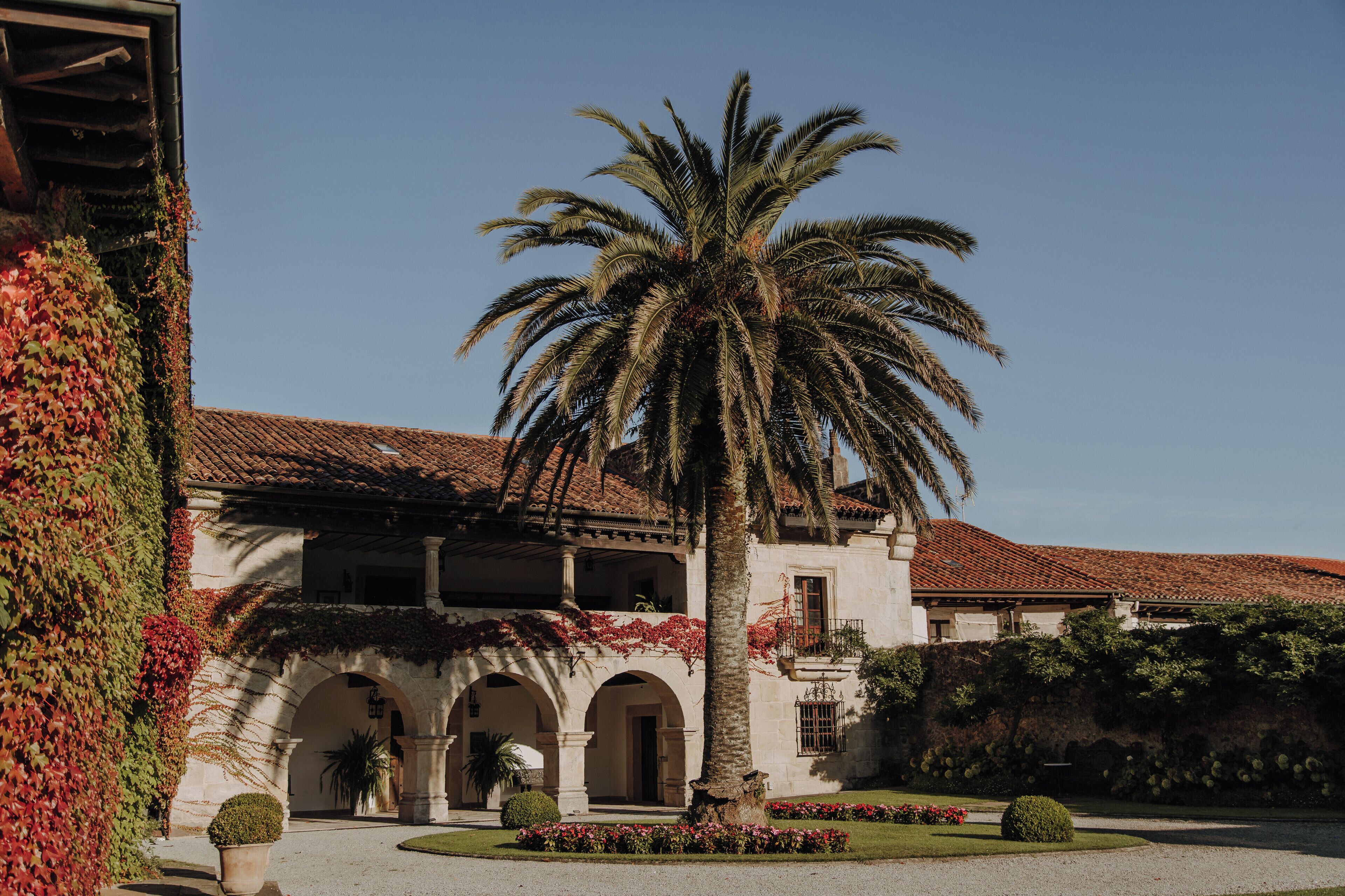 A building with a courtyard, palm tree, and red flowers.