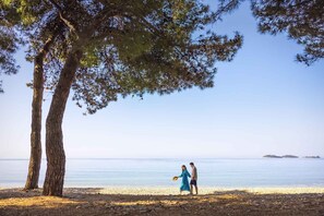 Beach nearby - Holiday Apartment with Pool (Rovinj)