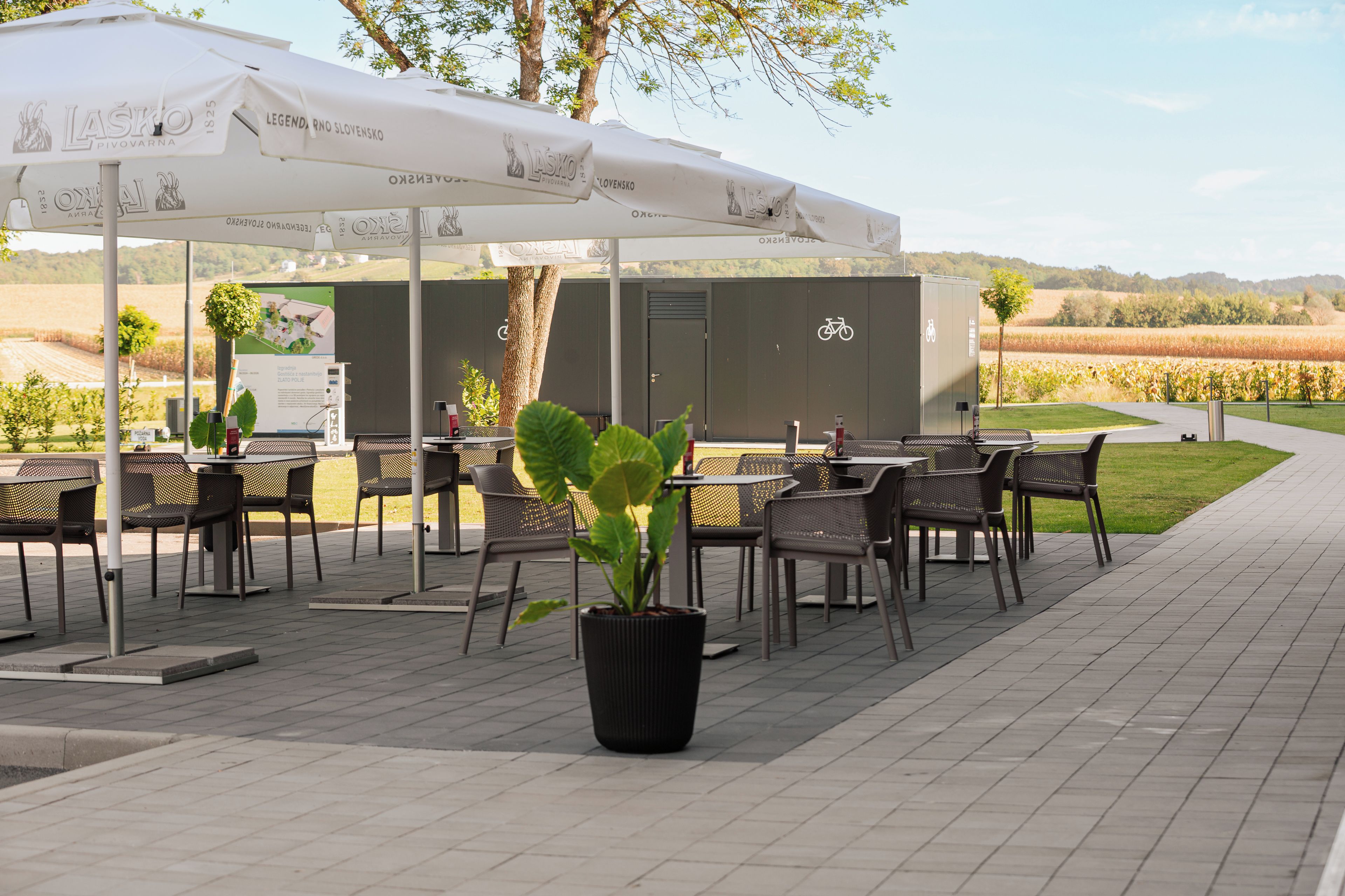 Terraza o patio