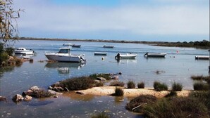 Una distesa d'acqua tranquilla con diverse imbarcazioni ormeggiate vicino alla riva, circondata da vegetazione naturale e un cielo sereno.