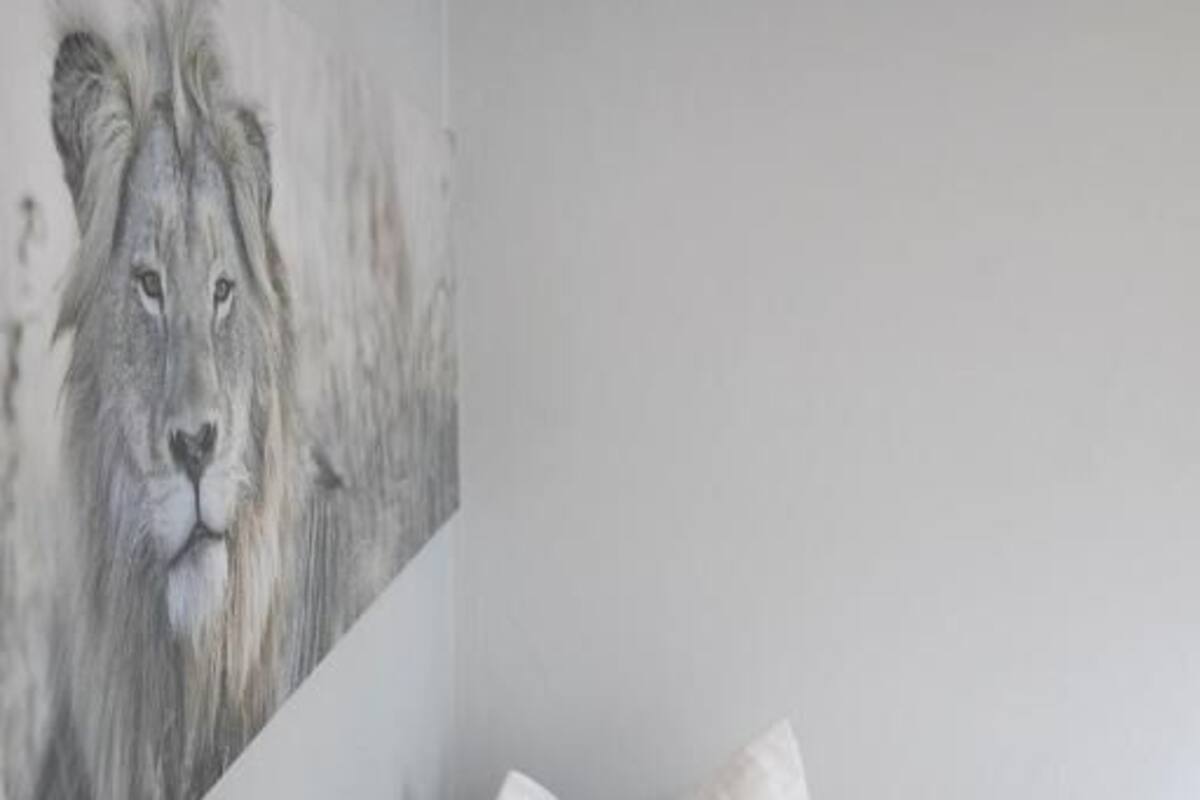 Classic Single Room, Non Smoking, Private Bathroom