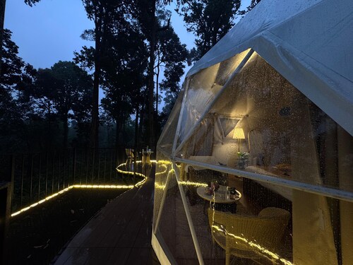 Luxury Dome Stay
