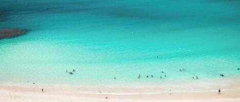 A beach with clear turquoise water, palm trees, and a hilly landscape in the background.