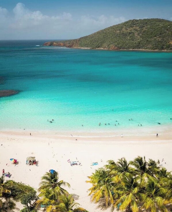 A beach with clear turquoise water, palm trees, and a hilly landscape in the background.