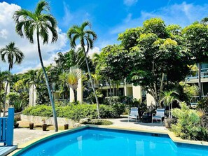 Pool - Charming studio condo with a coastal comfort (Christiansted)
