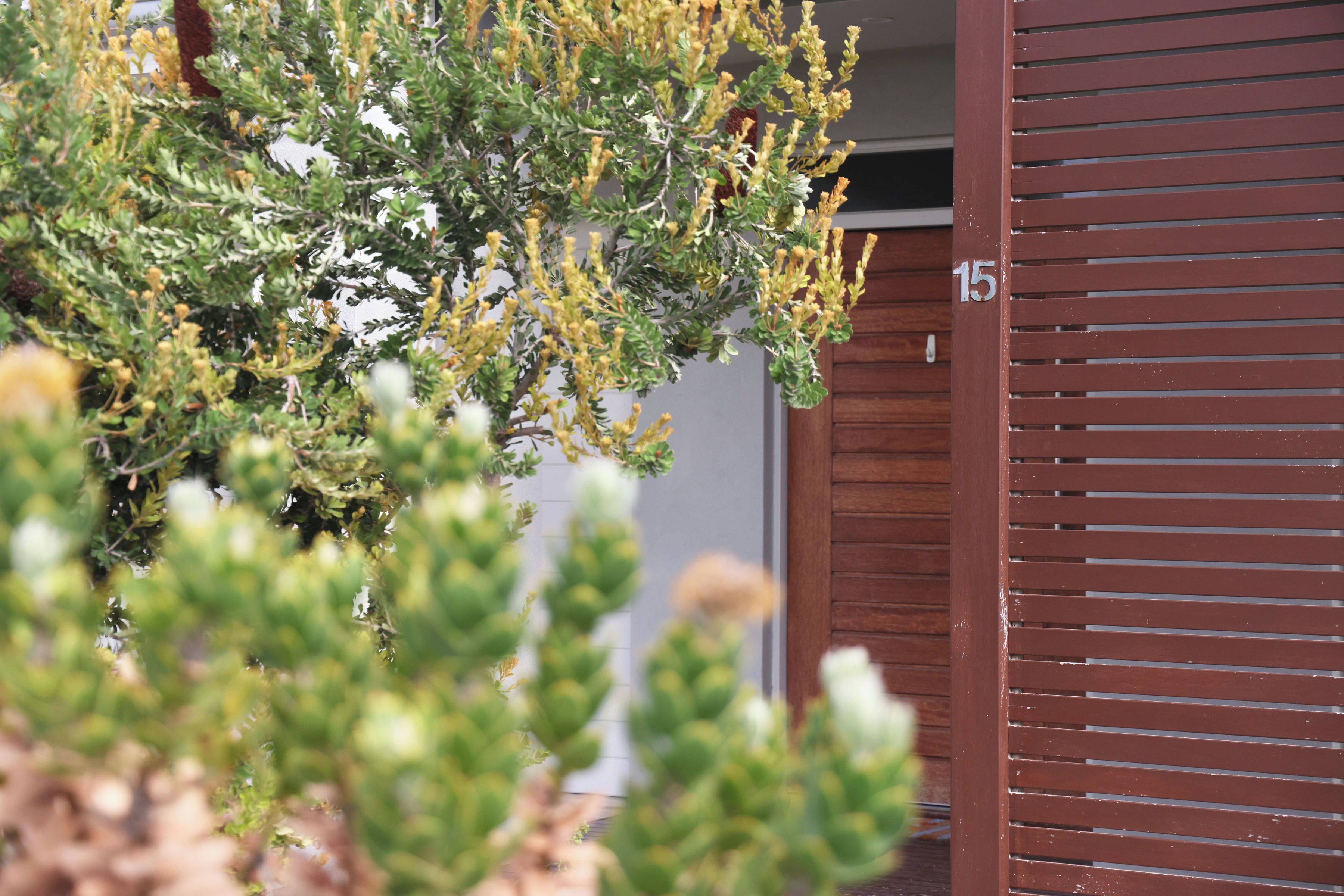 A wooden door with the number 15, a green bush with yellow flowers, and a blurred background.