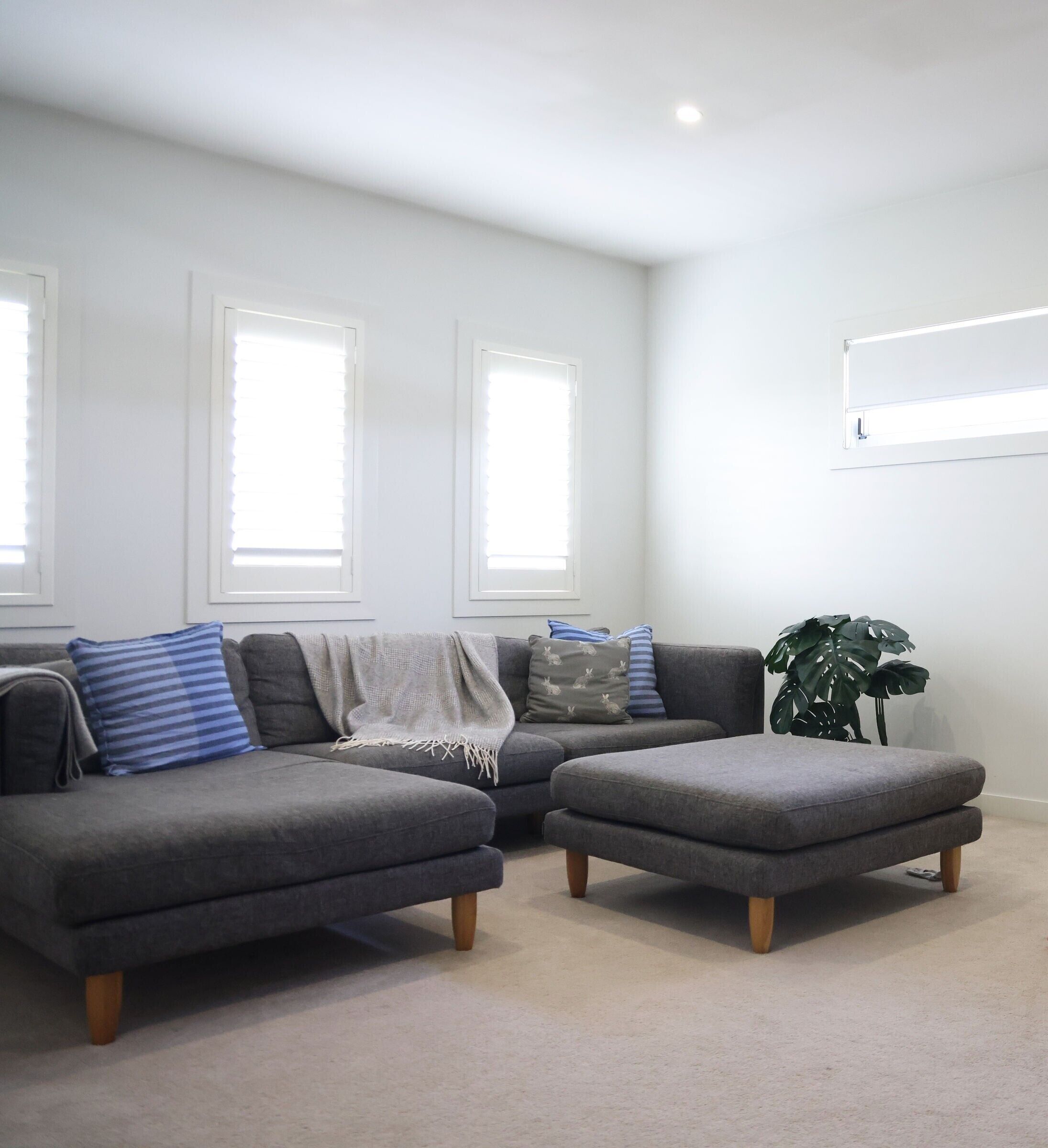 A modern living room with a grey sectional sofa, an ottoman, and a large green plant.