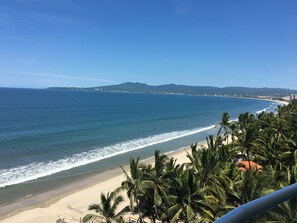 Een strand met palmbomen, een heldere lucht en op de achtergrond bergen.