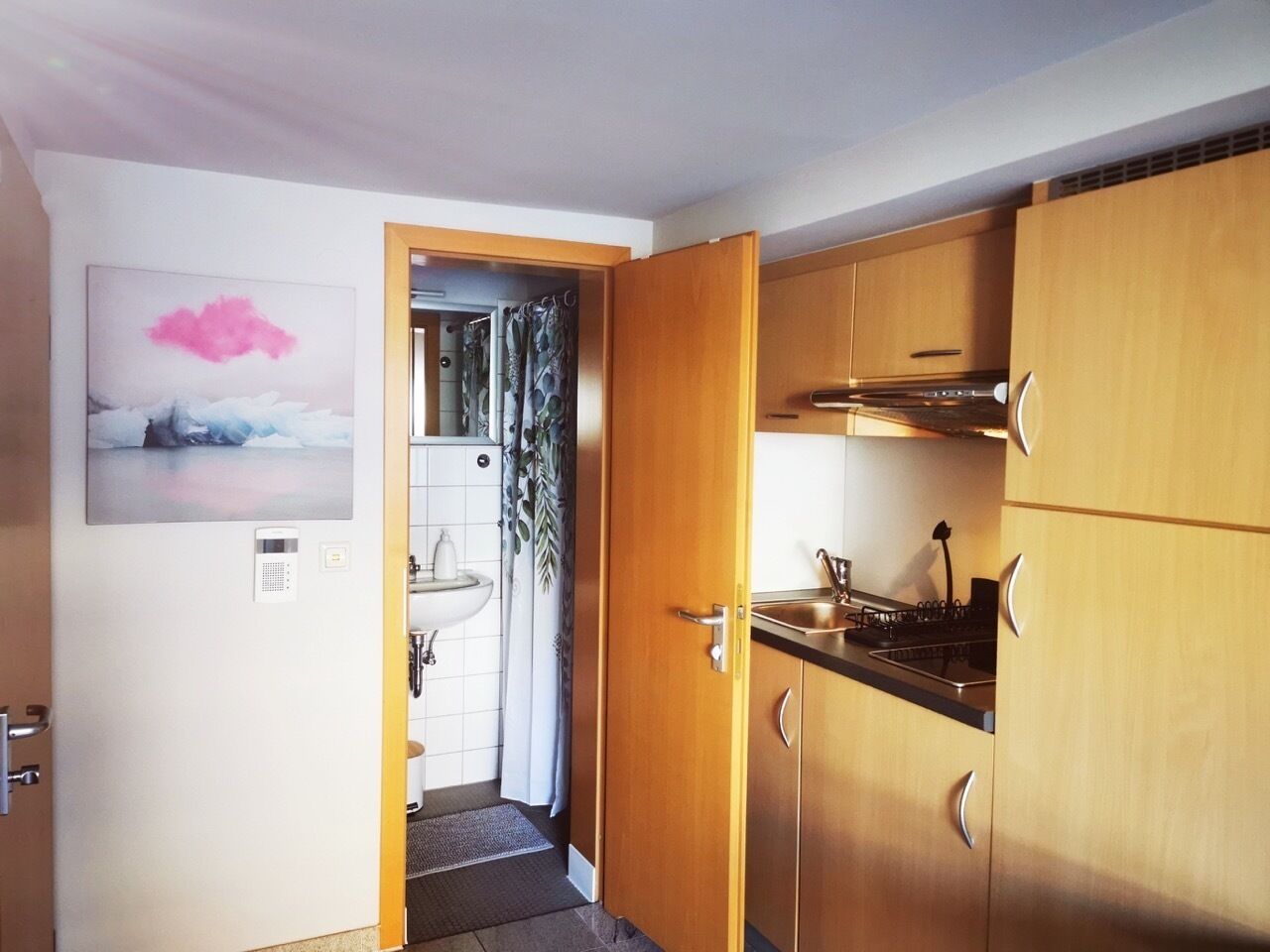 Fridge, microwave, coffee/tea maker, electric kettle