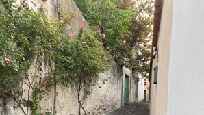 Een smalle kinderkopstraat met een stenen pad, een groene deur en een muur begroeid met klimplanten.