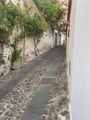 Ein schmaler Kopfsteinpflastergang mit einem Steinweg, einer grünen Tür und einer mit Kletterpflanzen bewachsenen Mauer.