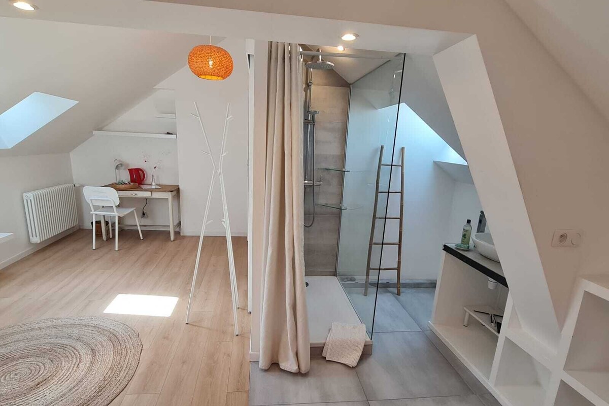A modern loft bedroom with a sloped ceiling, a desk with a chair, a shower with a glass door, and a ladder.