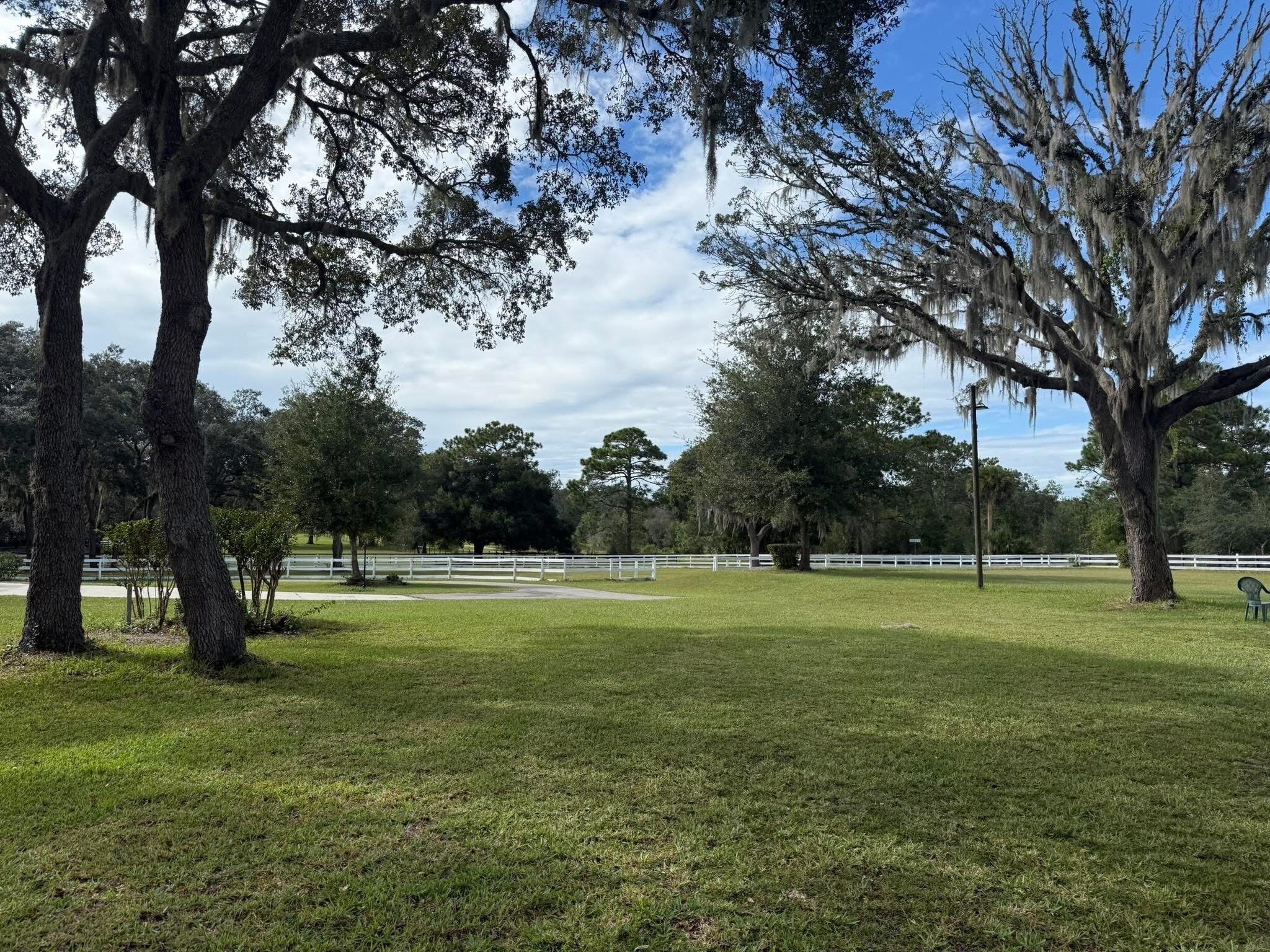 A grassy park with trees and a white fence.