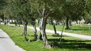 A tree-lined pathway with a sidewalk, grassy areas, and a road. - Mobile Home in Rabac With Shared Pool (Labin)