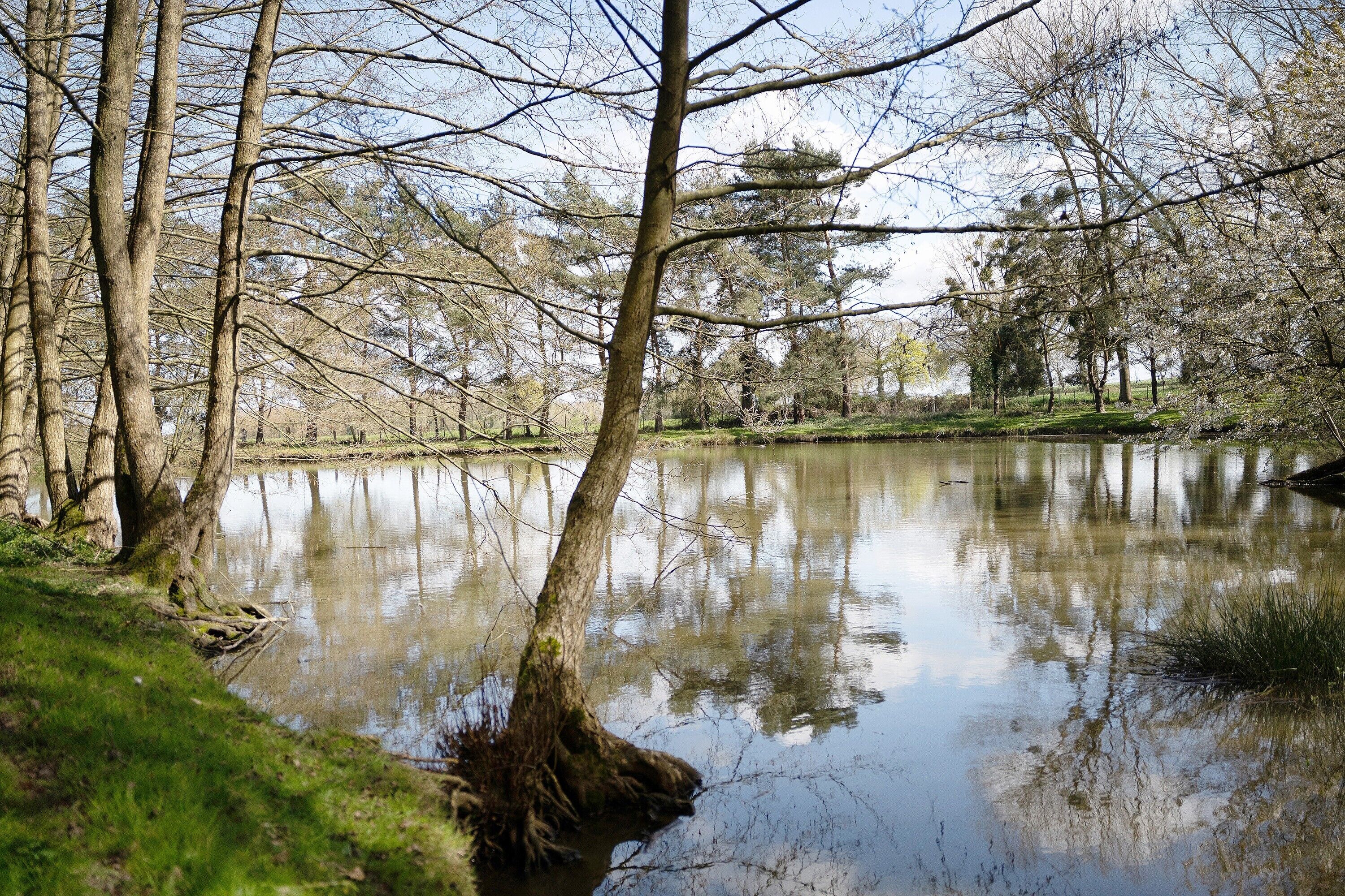 Un paysage paisible au bord d’un lac, avec des arbres et une étendue d’eau calme.