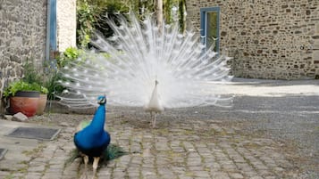 Enceinte de lâhĂ©bergement