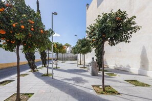Uma alameda pavimentada com laranjeiras e uma estátua.