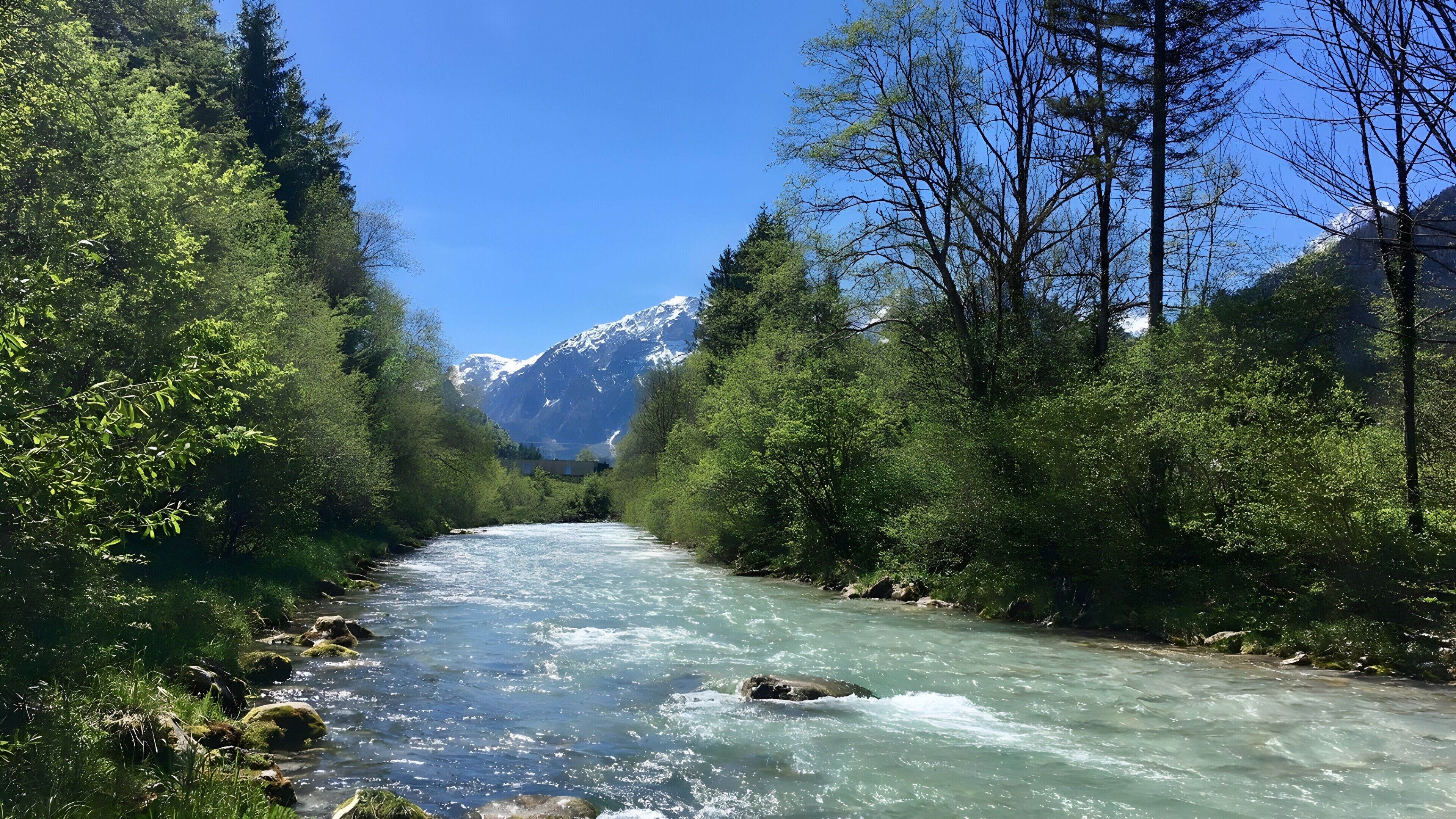 A river flowing through a forest with mountains in the background.