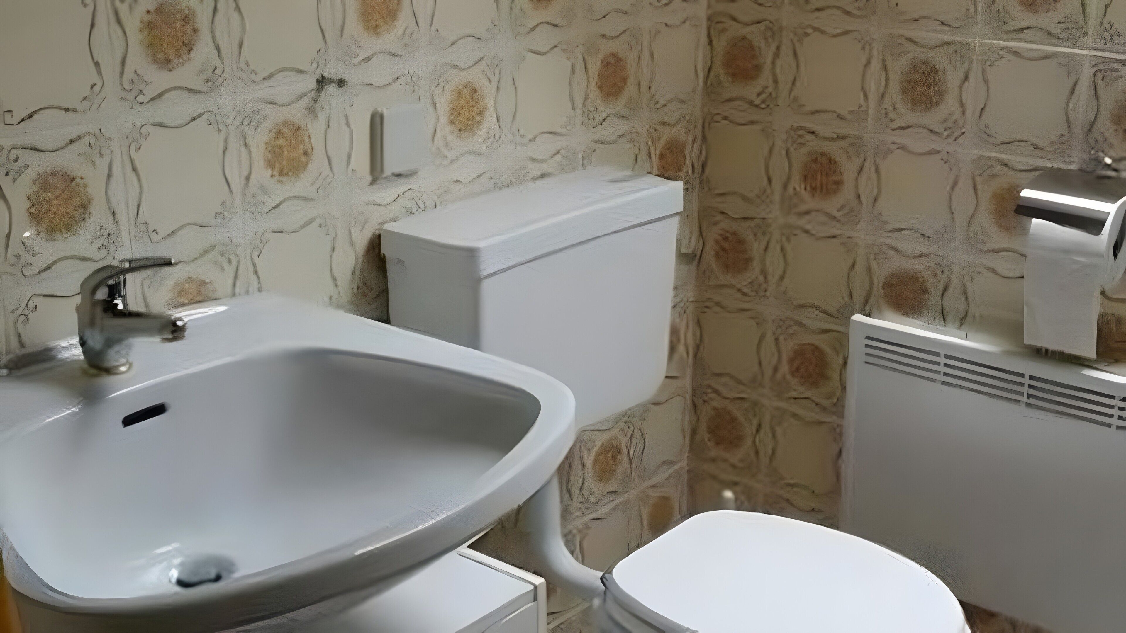 Un bany amb un rentamans, vàter i radiador blancs.