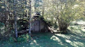A small wooden cabin surrounded by dense forest.