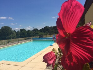 Una piscina con agua azul cristalina, rodeada por un solárium con baldosas.